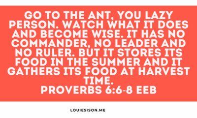 God Told a Lazy Person to Watch an Ant. Here's What He Wanted Them to See