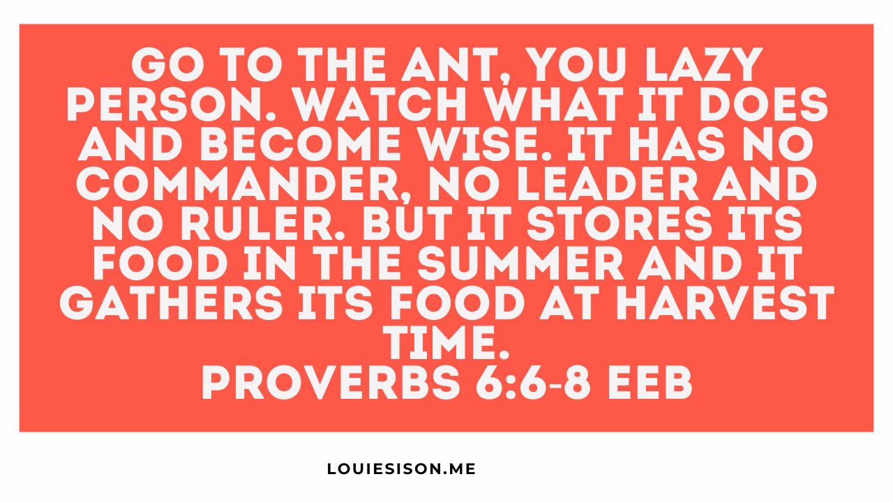 God Told a Lazy Person to Watch an Ant. Here's What He Wanted Them to See